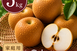 【梨：豊水】家庭用 5kg (14〜16玉)｜千葉の梨農家から朝採れ直送【予約販売】