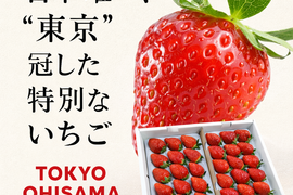 「東京おひさまベリー」(9～30粒入り、約300g×２パック)【贈答用大粒いちご】 東京生まれのニューブランド 　 イチゴ 苺 ギフト スイーツ 果物 プレゼント 贈り物 お礼品 御礼品 誕生日