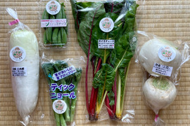 【父の日ギフト】濃甘！野菜セット5種類 農薬・化学肥料不使用♪個包装