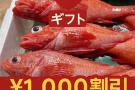 【敬老の日ギフト】大サイズ キンキ詰め合わせ※日付指定不可