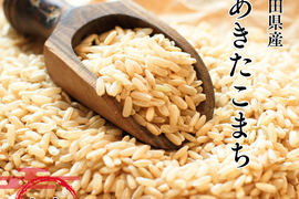 あきたこまち 【玄米】新米 R7年度産  5kg 秋田県産 あきたこまち