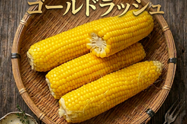 【朝どれ】これぞトウモロコシ！甘い　うまいゴールドラッシュ