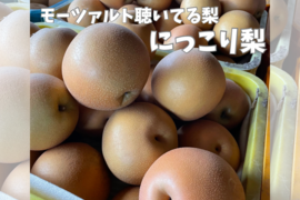 ※今季ラスト※【糖度11.5度以上】栃木県のブランド梨(にっこり)　3㎏