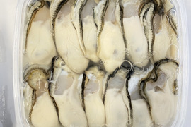 刺身牡蠣12粒パック