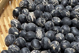 今年人気のブランド品や 兵庫県の大豆で産地直送の商品｜食べチョク｜産地直送(産直)お 野菜