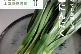 【予約販売】シャキシャキ甘ーい✨稀少な葉にんにく 北海道 上富良野町産