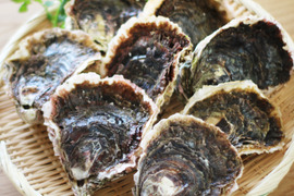 《料亭の味》ずっしり濃厚！「五島列島」岩牡蠣　L16個(生食用)　夏限定！
