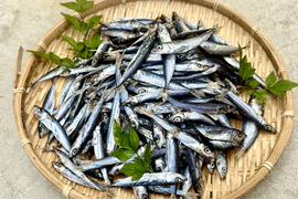 【海の精×天日干し】小魚の無添加干物（1000g）