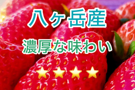 よつぼしの通販｜いちご｜食べチョク｜産地直送(産直)お取り寄せ通販