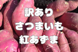 ともさんさつまいも規格外訳ありおまけ付き箱込み２０キロ以下 訳あり 新物】土付き べにはるか さつまいも 20kg 規格外：茨城