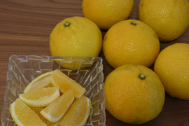 訳あり はるか ５ｋｇ　M玉中心