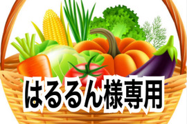はるるん様専用