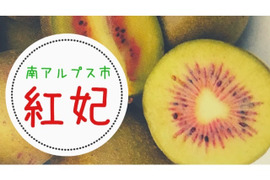 農家直送！中身が赤くてとても甘〜い！希少キウイフルーツ紅妃！【1.5ｋｇ】