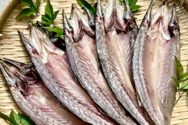 【海の精×天日干し】カマスの無添加干物（９枚入）