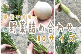 岡山県産の野菜の詰め合わせ80