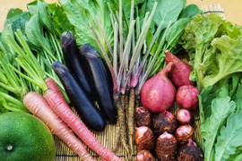 【歳末の候】海のある町農家の野菜セット～熨斗付き～