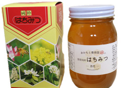 ＜2024年度産＞非加熱非加温！国産純粋 百花はちみつ 1200g×1本 ギフト