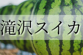 名産品！滝沢スイカ2玉(6～9キロ)