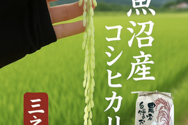 魚沼市で作った美味しいお米　精米  魚沼産コシヒカリ 2㎏  令和7年産