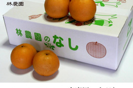 【小ぶり】酸味と甘みのハーモニー  新興梨 家庭用  約5kg(18玉)