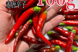 産地直送の岡山県産の赤唐辛子を100g