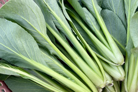 小松菜1.2kg(200g×6袋) 農薬・化学肥料不使用