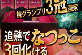 🎊全国桃グランプリ3冠小野桃園ブランド🎊ガツンとくる甘さを求めるならこれ一択なつっこ🍑一流レストラン御用達1kgお試し特価ももキャンペーン【朝どれ】グランプリ受賞の実力糖度🍑【夏ギフト】8月上旬