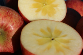 さんフジ 山形 朝日町産 贈答用 りんご 約10kg 36か40個入り リンゴ