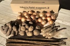 ☆お待たせしました☆令和7年産🥔🧅小さな長芋入り✨山田敏彦【十勝のGOODなセレクト野菜】セットA 合計約13kg