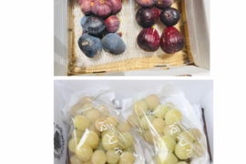 【秋の味覚を満喫！】農薬不使用　いちじく詰め合わせ(約600g)、とことん農薬節減シャインマスカット(約800g)