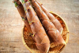 煮て揚げて焼いて抜群の歯ごたえと美味しさ【破竹たけのこ】収穫当日クール発送！４ｋｇ