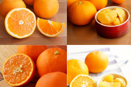 【食べ比べ】みかん・カンキツ詰め合わせセット4kg｜和歌山県海南市下津町から旬のみかん・かんきつ詰合わせセットを産地直送、農園直送でお届け。清見、セミノール、甘夏、八朔等、様々な柑橘が楽しめます