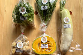 濃甘！野菜セット3種類 農薬・化学肥料不使用♪個包装