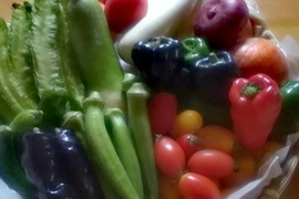 【夏ギフト】
夏の爽やか！野菜セット＊6品目以上～農薬/化学肥料・不使用
