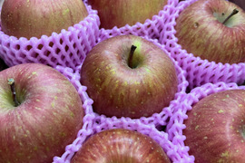 りんご ふじ 家庭用 約8〜11玉 スッキリ美味しい 3kg箱 リンゴ 通販 産直 ふじりんご サンふじ すりりんご ジュース 加工 お得 訳ありりんご