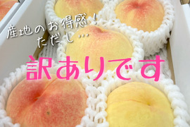 【訳あり品】岡山の桃　小箱４～６玉