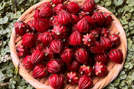 ローゼルの実 500g