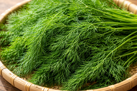 【店では買えないレアな新鮮ディル】お魚🐟が作った🌱香り味抜群‼️これ無しでは料理は始まらない‼️