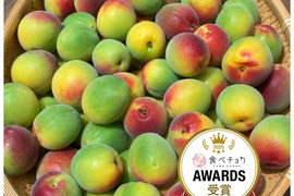 【特別栽培】和歌山県産　紅映L～2L(梅酒、梅シロップ用)2.5kg