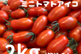 ミニトマトアイコ2kg
