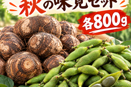 【丹波産本黒枝豆‼️＆ホクホク里芋セット‼️
