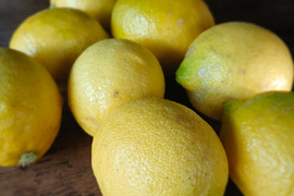 自然栽培レモン5kg(34個前後）