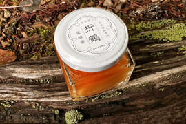 野生日本蜜蜂　発酵蜜【非加熱の生はちみつ】1個50g
