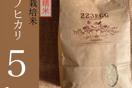 ＜上白 精米＞特別栽培米「ヒノヒカリ」[ 5㎏ ]【令和5年米】
