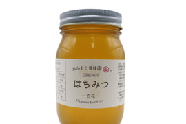 ＜2024年度産＞非加熱非加温！国産純粋「百花はちみつ」600g