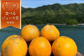 箱込み4kg 自然栽培の紅河内晩柑（ジューシーオレンジ）栽培期間中に農薬、化学肥料不使用　【熊本県天草特産】