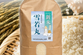 【令和7年新米】雪若丸4.8キロ白米　甘味のある新食感！