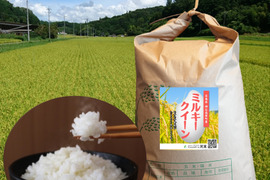 新米ミルキークイーン 玄米20㎏（10kg×2袋）令和5年 広島県神石高原町産 もちもち食感がたまりません！