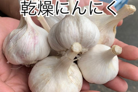 【産直通販】香川県産スタミナ満点！乾燥にんにく☆バラ売り2kg