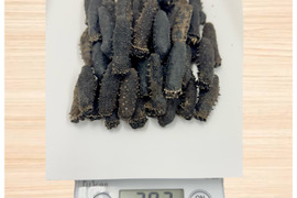 乾燥ナマコ  200g